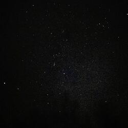 Daedalus
