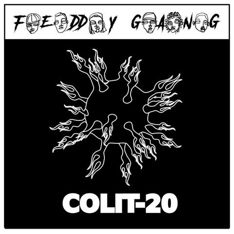 CoLit-20