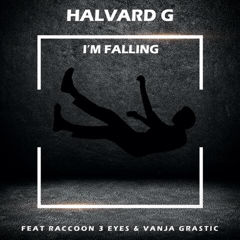 I'm Falling (feat. Raccoon 3 Eyes & Vanja Grastic)