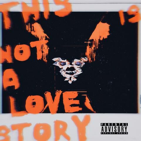 THIS IS NOT A LOVE STORY