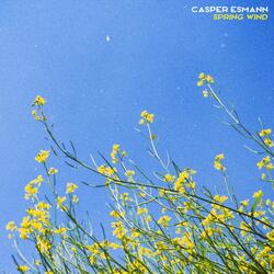 Spring Wind (Clannad)