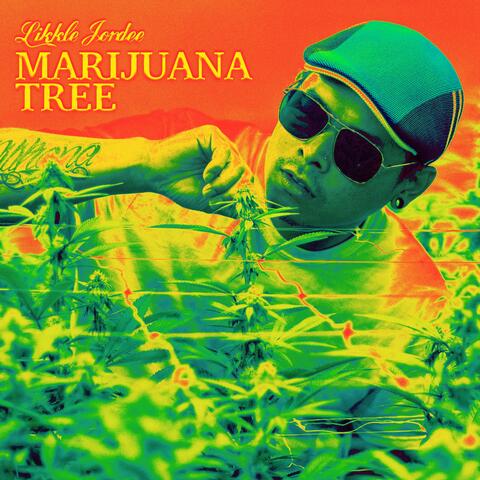 Marijuana Tree