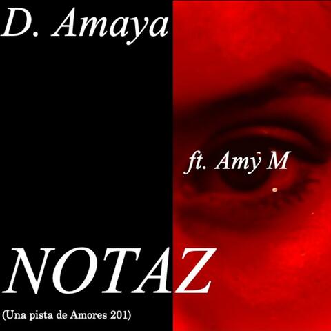 Notaz (feat. Amy M)