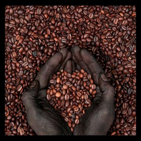 BLACK COFFEE (feat. Afrikillz)