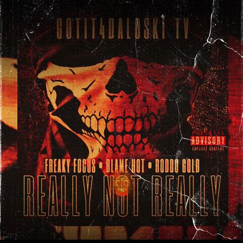 Really Not Really (feat. Freaky Focus, Roddo Gold & Blame Hot)