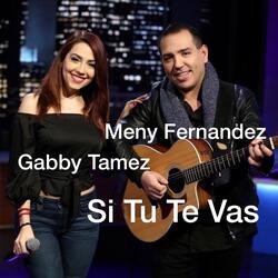 Si Tu Te Vas (feat. Gabby Tamez)