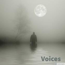 Voices