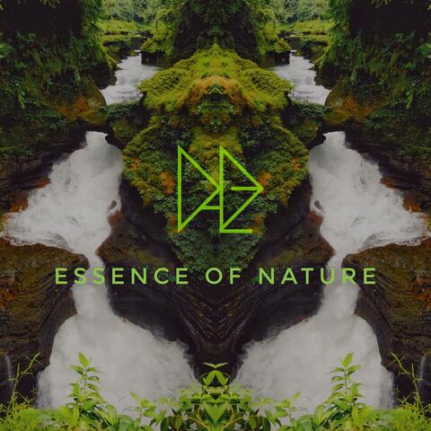 Essence of Nature
