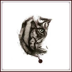 EYE OF THE TIGER