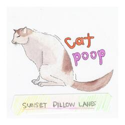 Cat Poop
