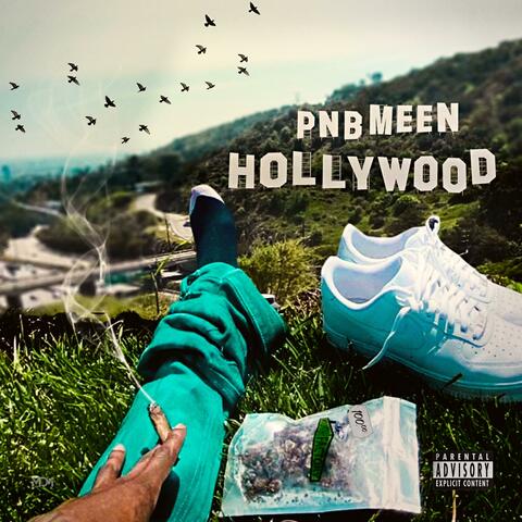 Pnb Meen