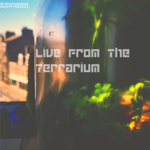 Live from the terrarium