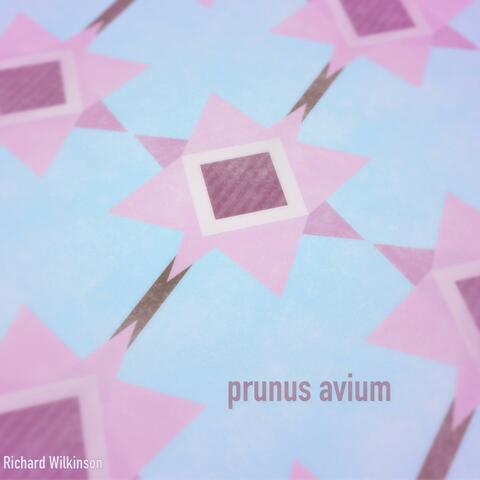 Prunus Avium