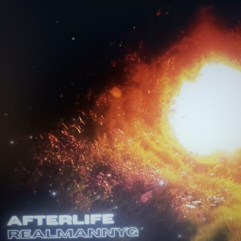 Afterlife
