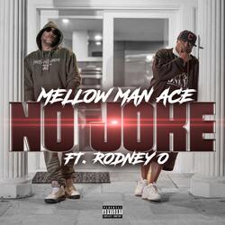 No Joke (feat. Rodney O)