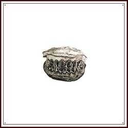 GRILLZ HINTER LIPPEN