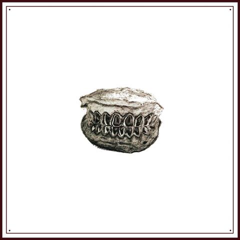 GRILLZ HINTER LIPPEN