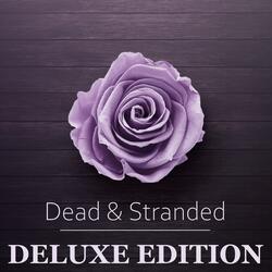 Dead & Stranded ( Performance)