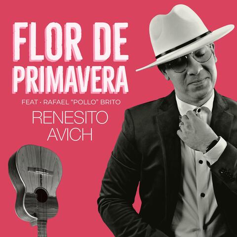 Flor de Primavera (feat. Rafael "Pollo" Brito)