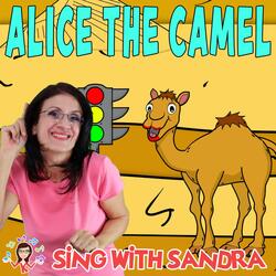 Alice The Camel