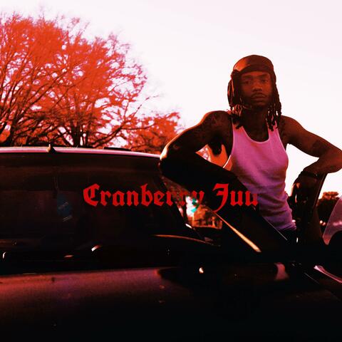 Cranberry Juu