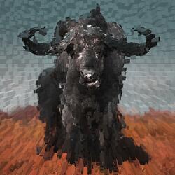 Buffalo