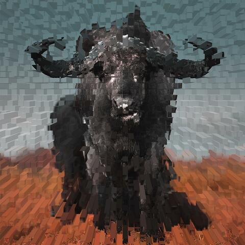 Buffalo