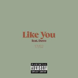 Like You (feat. Duvo The Ghost)