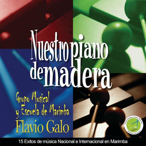 Nuestro Piano de Madera