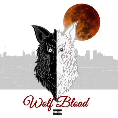 Wolf blood