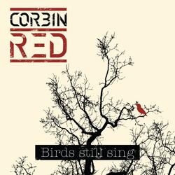 Birds still sing