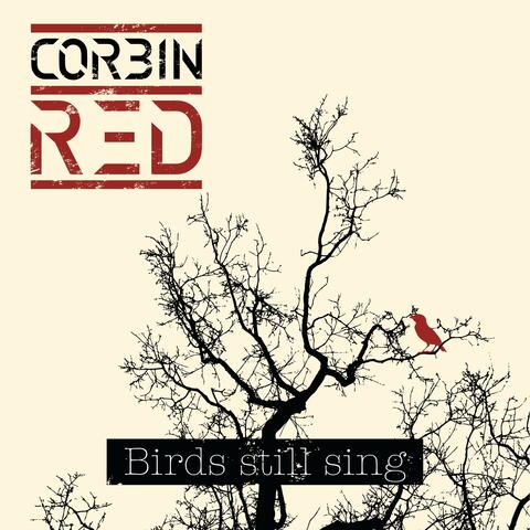 Birds still sing