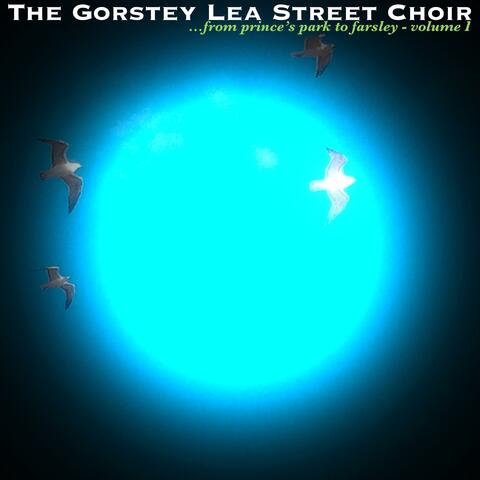'...from Prince's Park to Farsley (Volume I)'