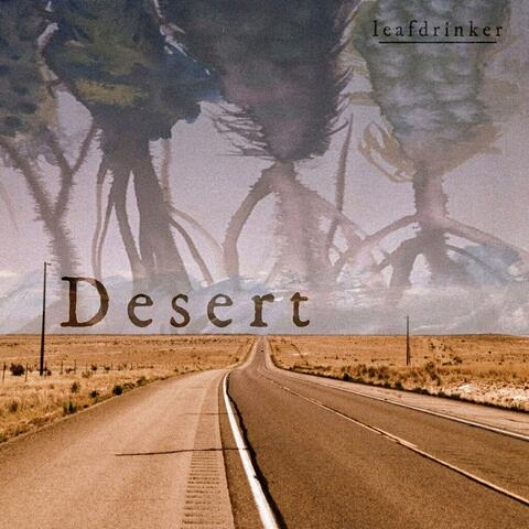 Desert