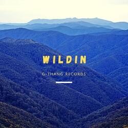 Wildin' (feat. Connor-Mctodd)