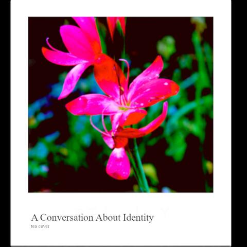 a conversation about identity