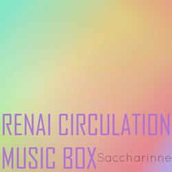 Renai Circulation