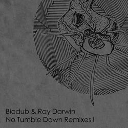 No Tumble Down (feat. Ray Darwin)