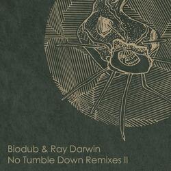 No Tumble Down (feat. Ray Darwin)
