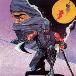 Ninja Gaiden