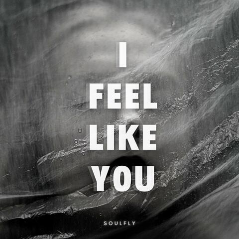I Feel Like You