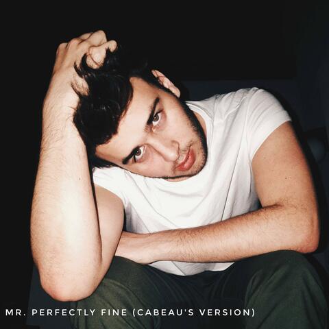 Mr. Perfectly Fine