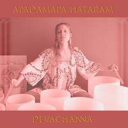 Apadamapa Hataram