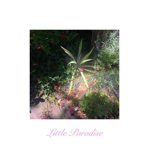 Little Paradise