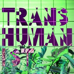 Professional Mathematician