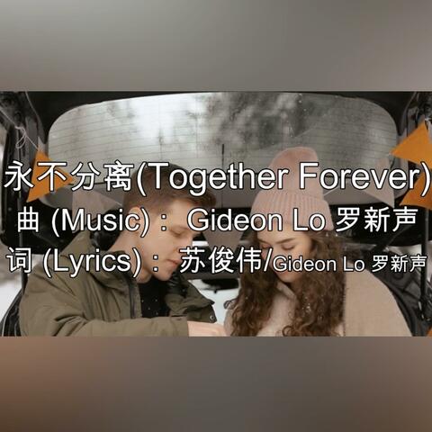 永不分离 Together Forever