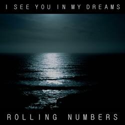 I See You In My Dreams