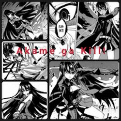 Akame ga Kill!