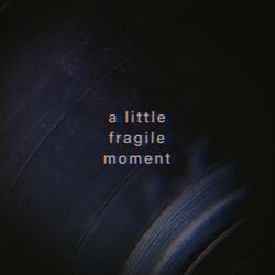 a little fragile moment
