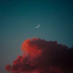 i still dream of you (part 2)